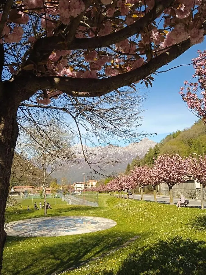Mountains And Lake Como Apartments Valbrona 0*,